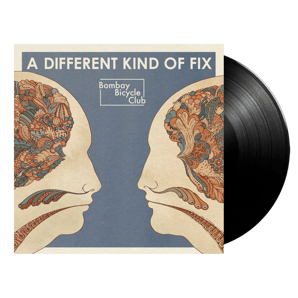 A Different Kind Of Fix Vinyl